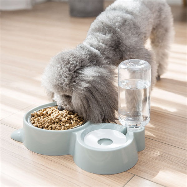 Pet Feeding and Water Bowl