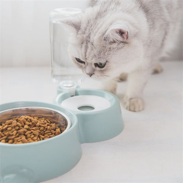 Pet Feeding and Water Bowl
