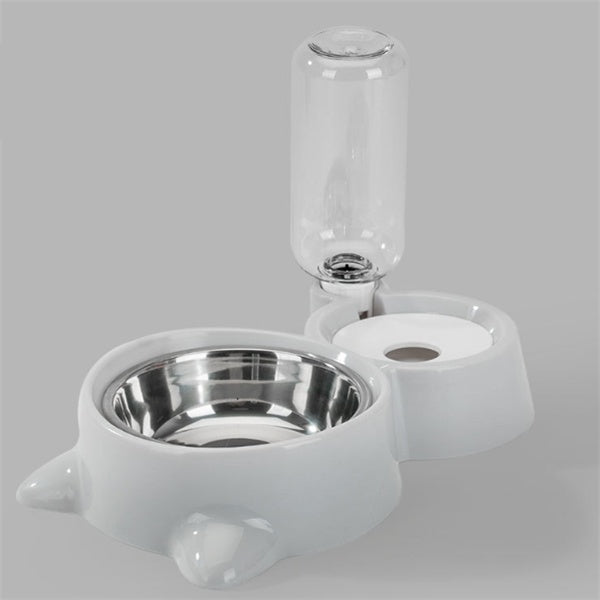 Pet Feeding and Water Bowl