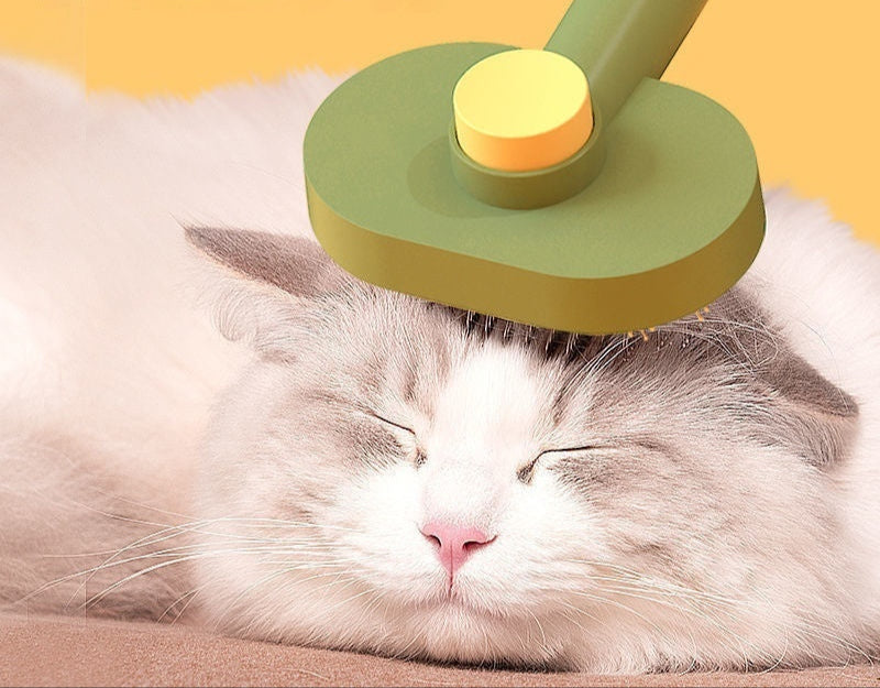 Pet hair Brush