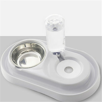 Pet Feeding and Water Bowl
