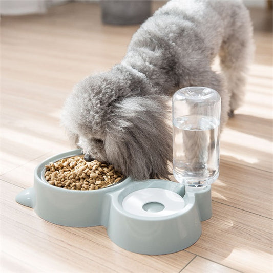 Pet Feeding and Water Bowl