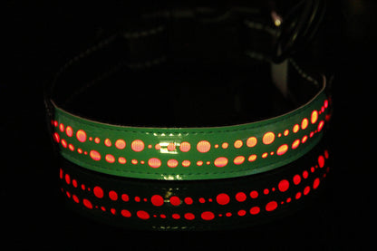 LED Luminous Pet Collar