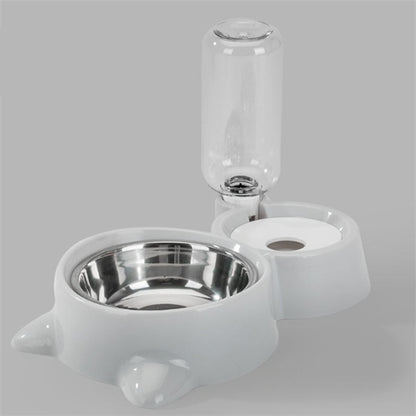 Pet Feeding and Water Bowl