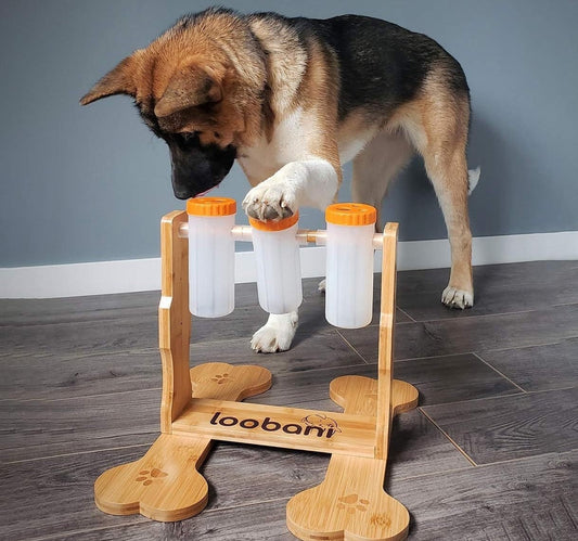 Pet Wooden Puzzle Toy