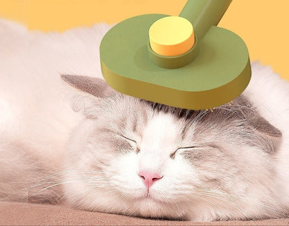 Pet hair Brush