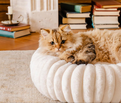 Donut Pet Bed