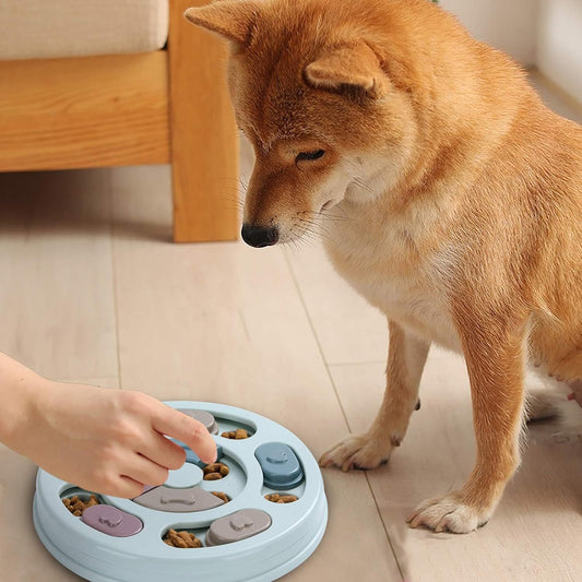 Pet Puzzle Slow Feeder Toys