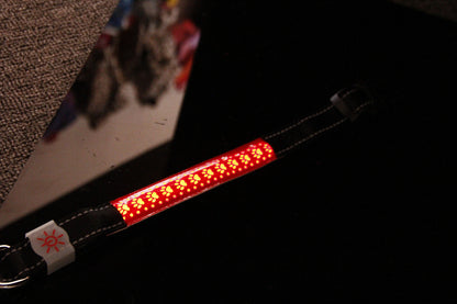 LED Luminous Pet Collar